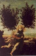 Antonio Pollaiuolo Apollo and Daphne Germany oil painting reproduction